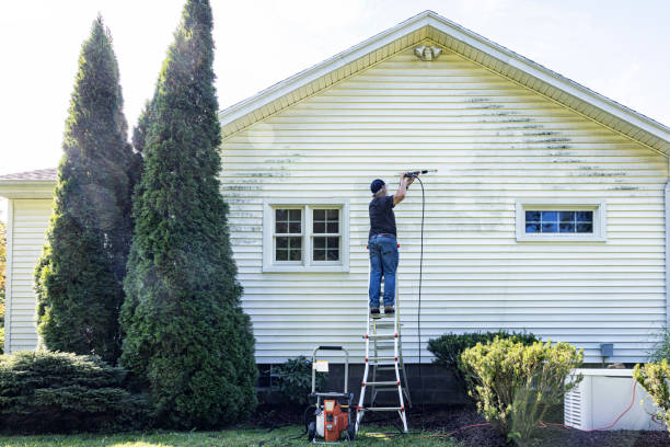 Reliable Rainbow Park, FL Pressure Washing Services Solutions